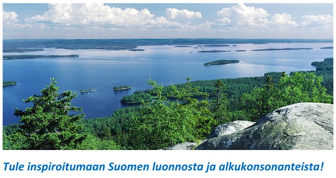 Eläinratakurssi-kuva.jpg